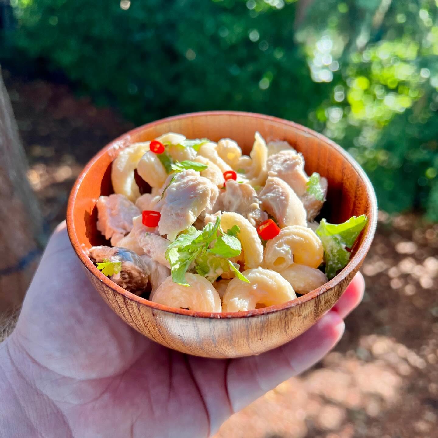 Tom Kha Pasta Salad, (cc) 2024 Dan Temmesfeld